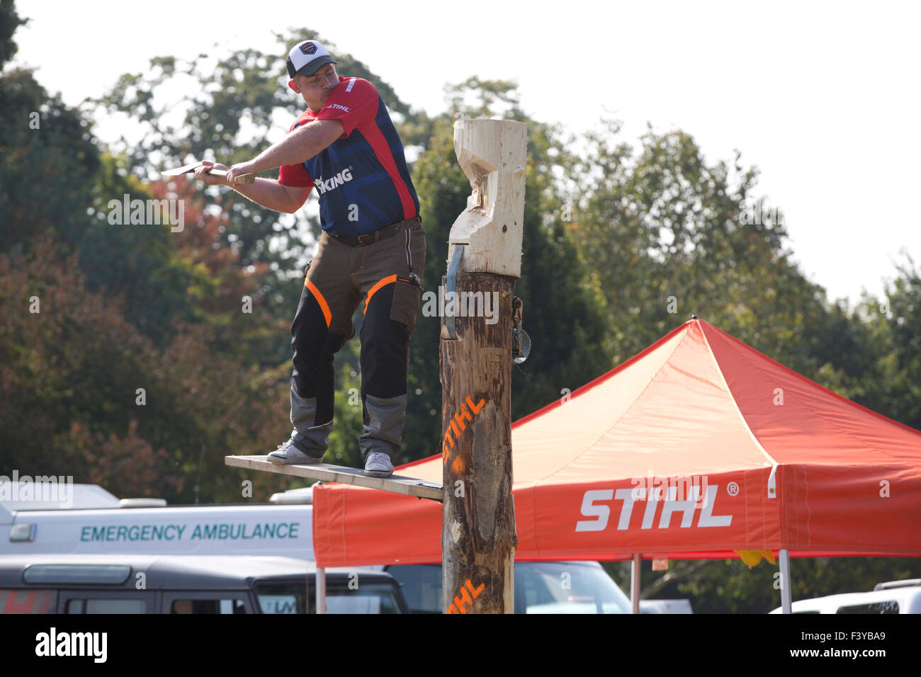 Britischer Holzfäller zeigen ihre Fähigkeiten mit deutschen Hersteller STIHL Motorsägen-Ausstellung im RHS Wisley, Surrey, England Stockfoto