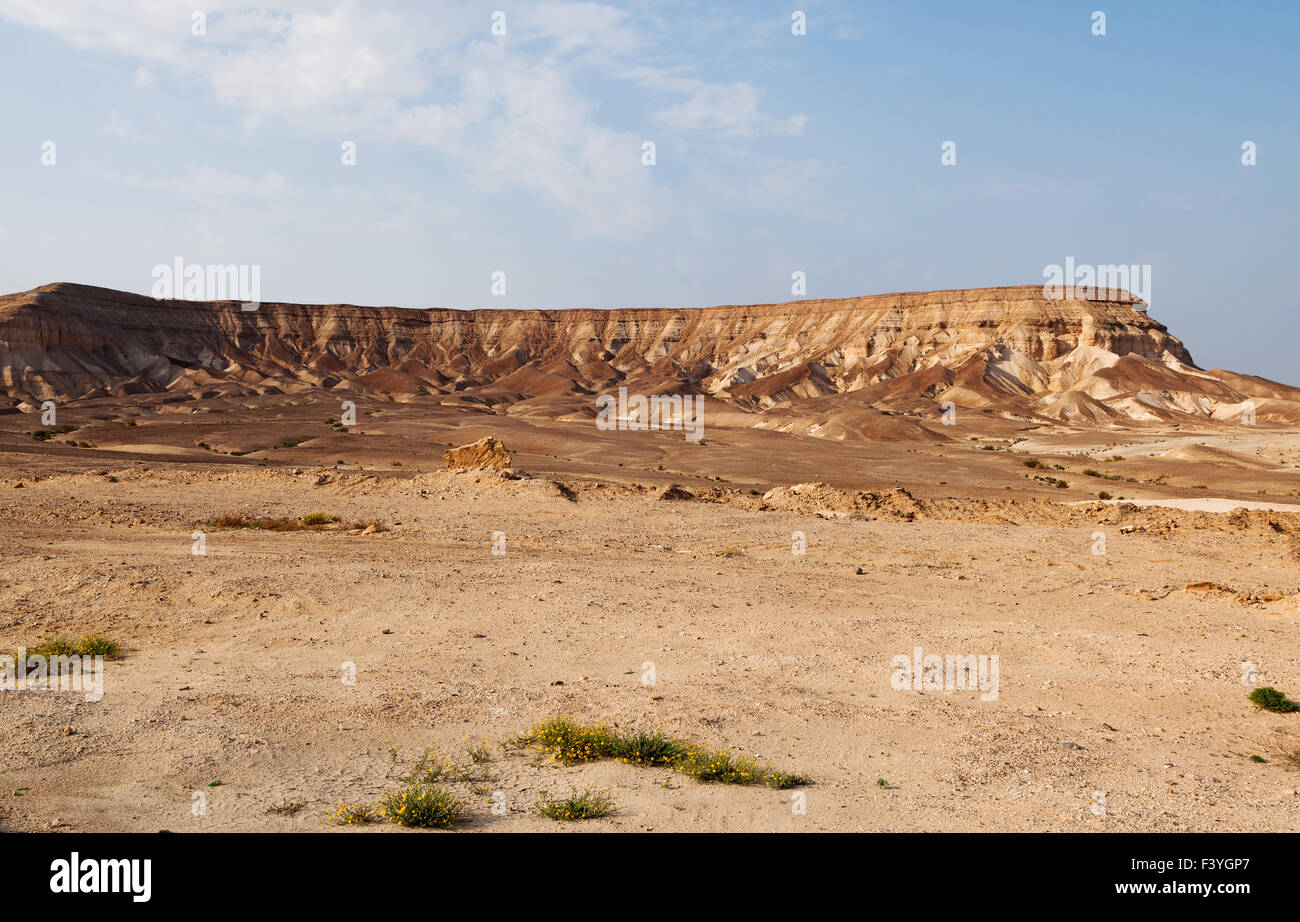 Wüste in der Nähe des Toten Meeres Stockfoto
