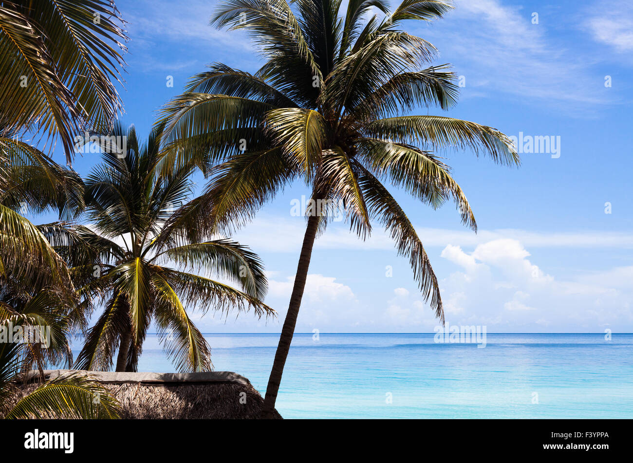 Karibik-Kuba-Palm Beach-Hütte Stockfoto