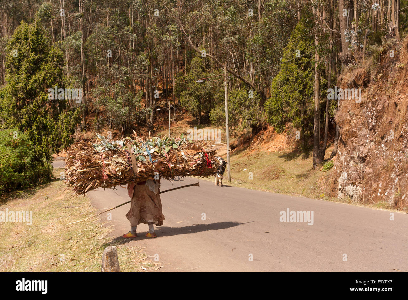 Addis Abeba Stockfoto