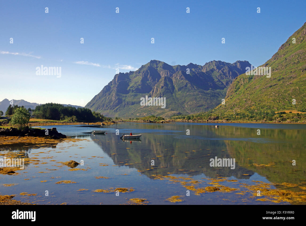 Ruhige Bucht auf der Ostseite der Lofot-Inseln Stockfoto