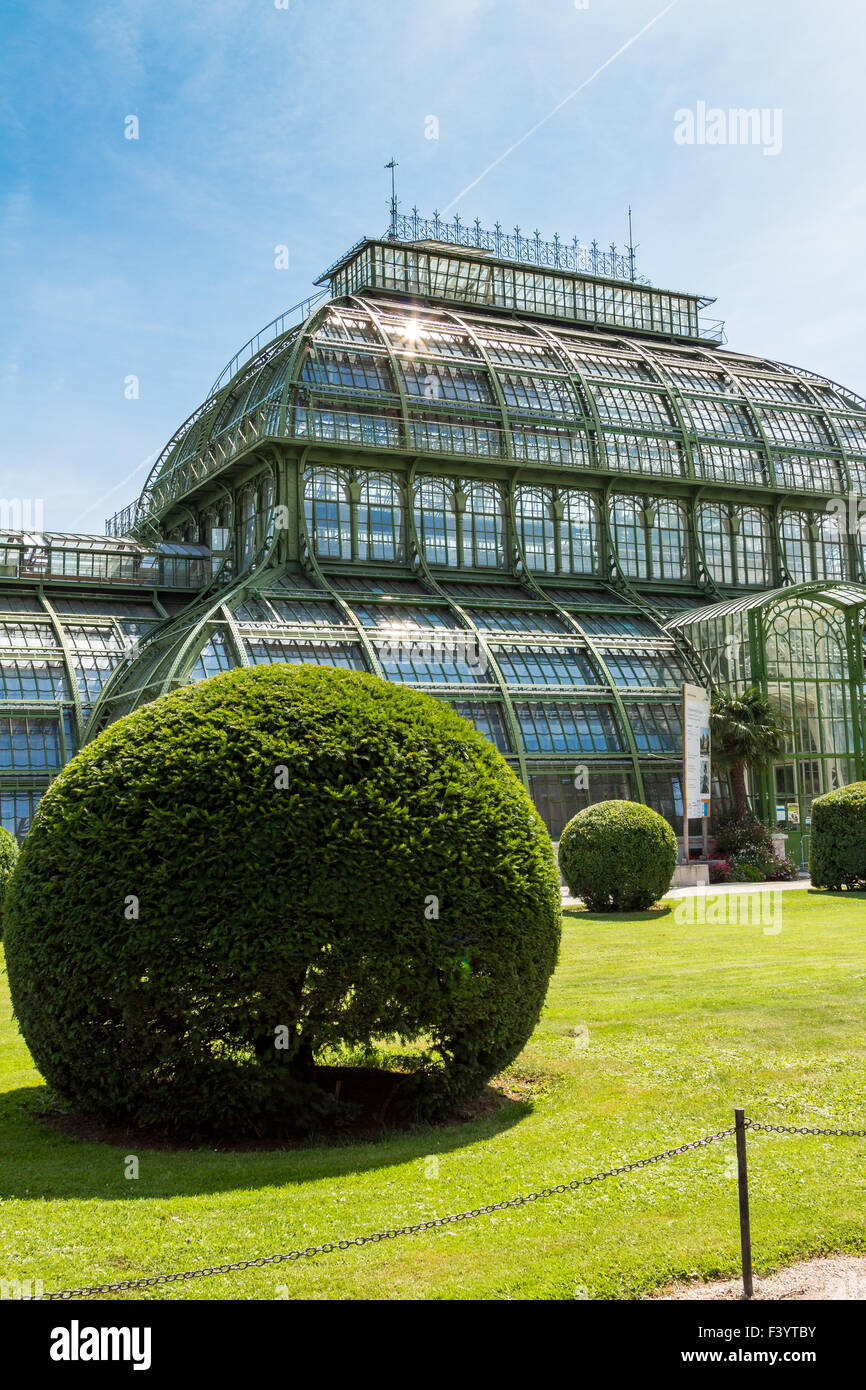 Palm House Schloss Schönbrunn, Vienna Stockfoto