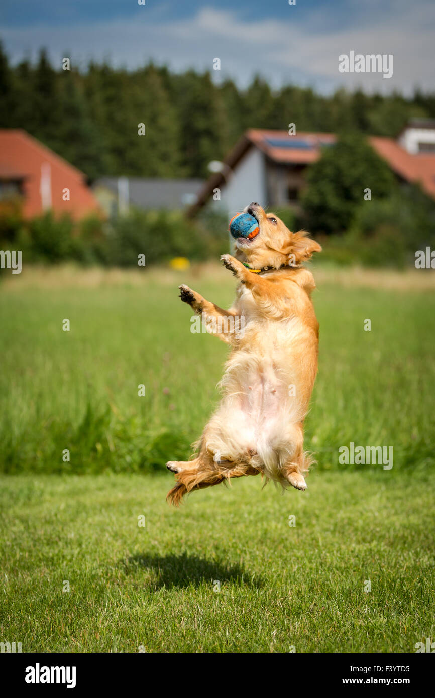 In die Luft fing den ball Stockfoto