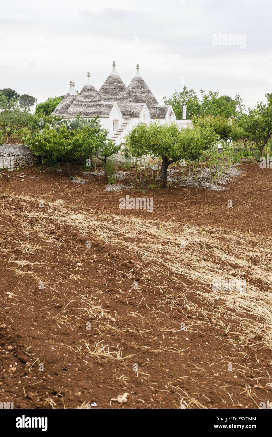 Trullo, Martina Franca Stockfoto