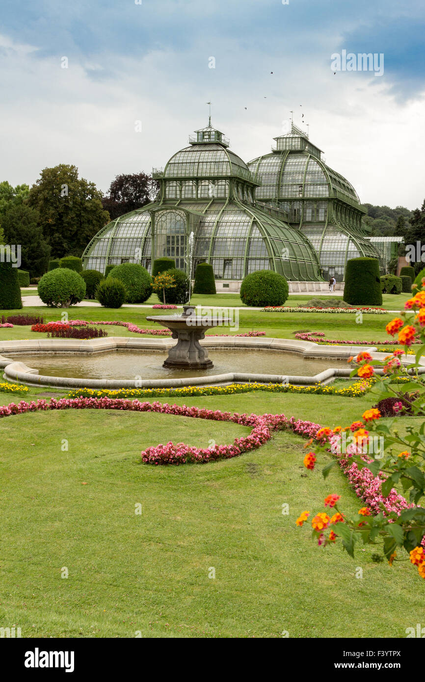 Palm House Schloss Schönbrunn, Vienna Stockfoto