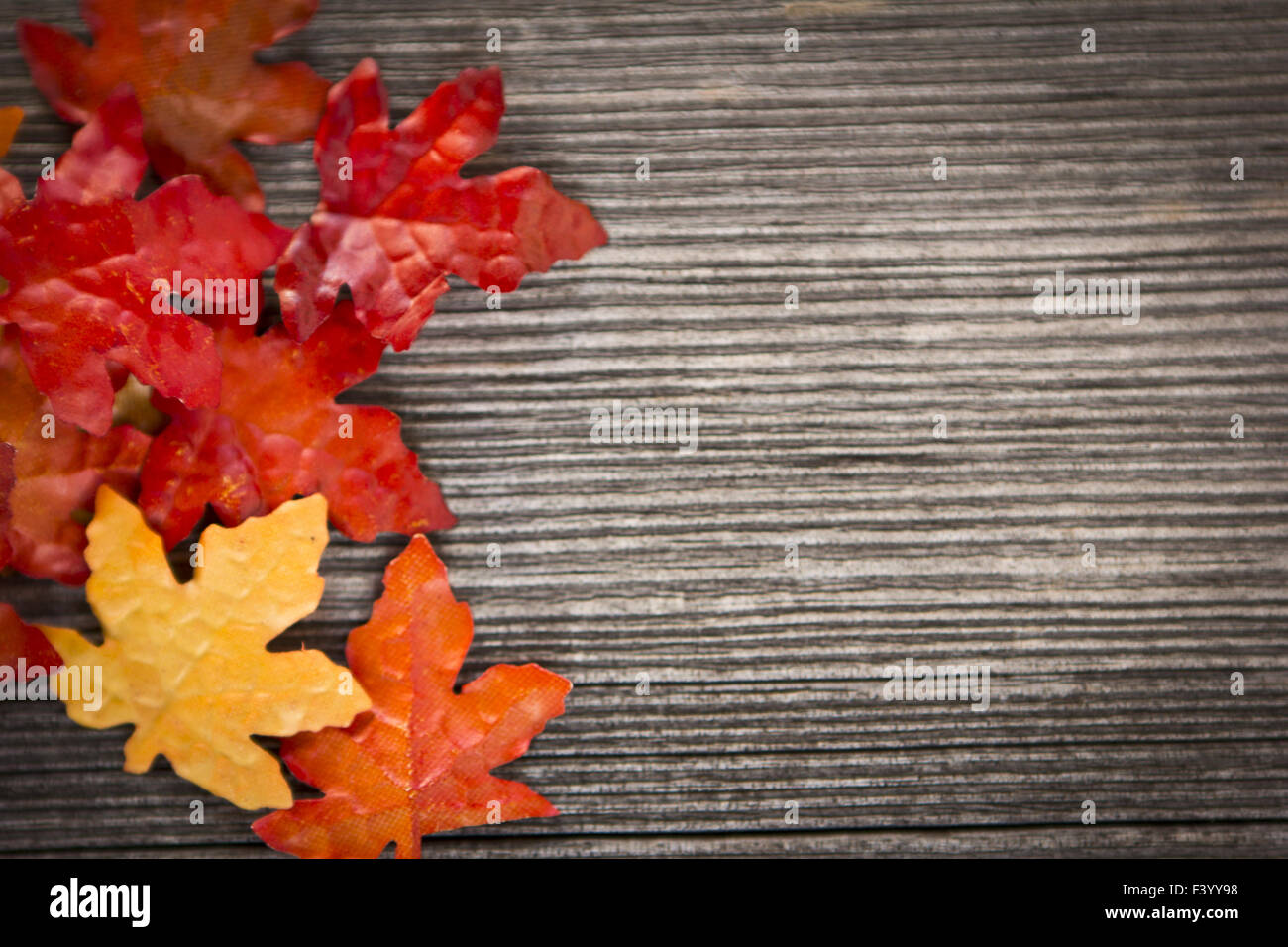 bunte Blätter auf einem rustikalen Holz Hintergrund Stockfoto