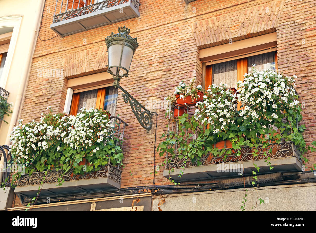 Blumen auf dem Balkon Stockfoto