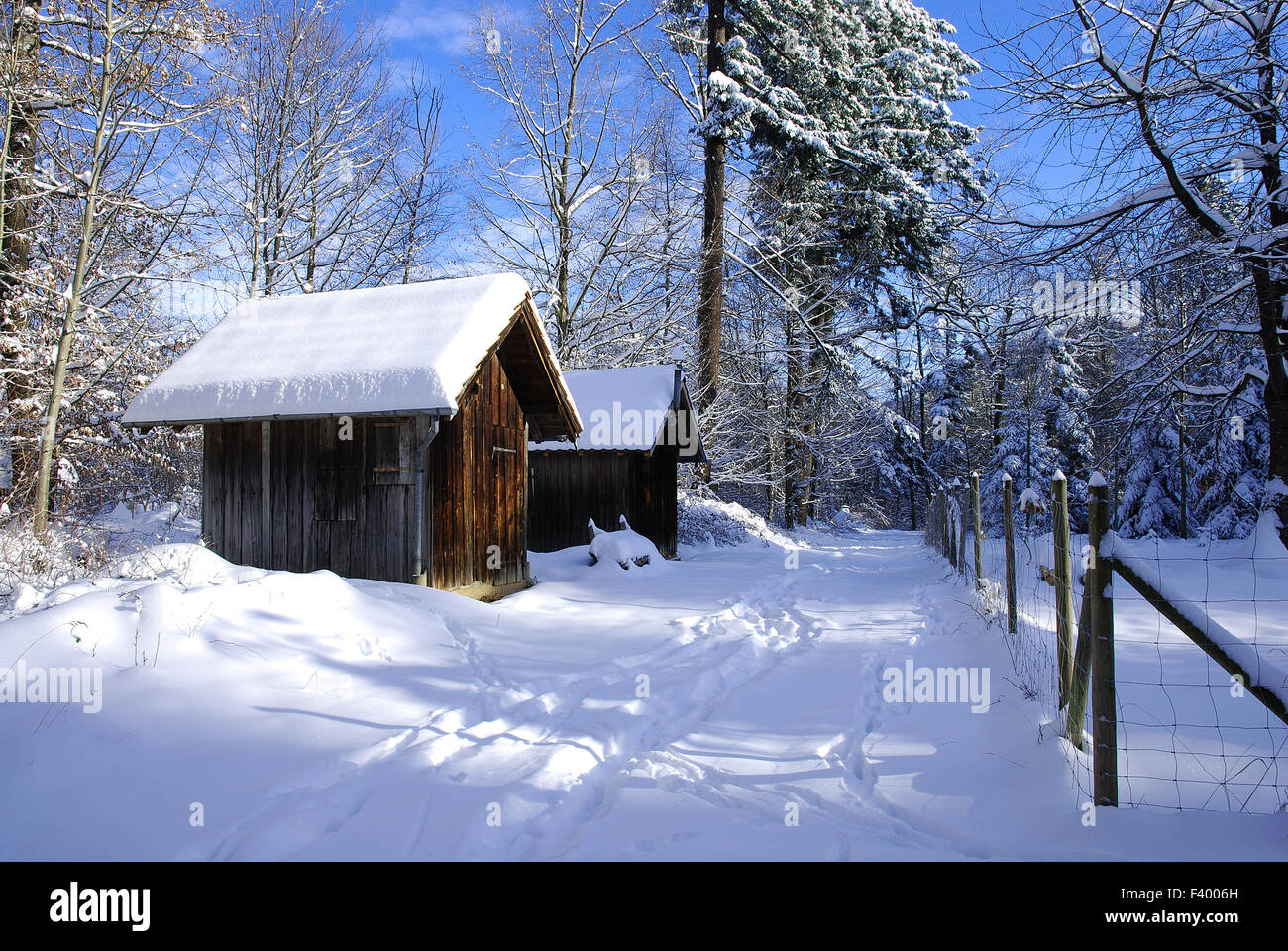 Winter im Wald; Schnee; Hütte Stockfotografie Alamy