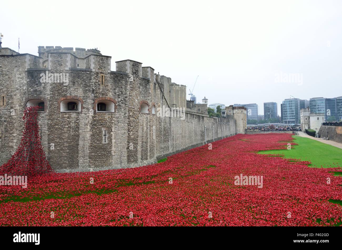 Ememberance Mohn Tower of London Stockfoto