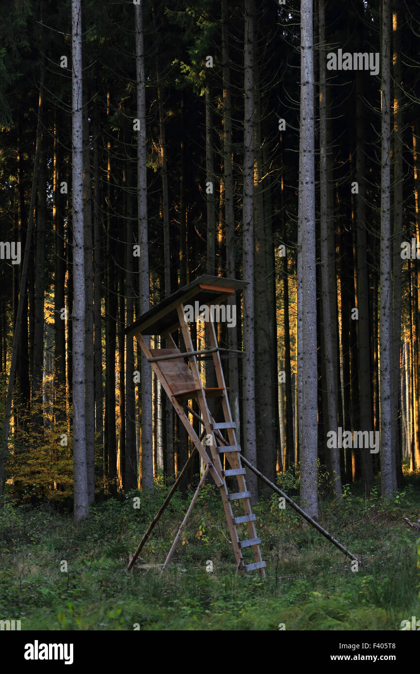 Deerstand im Fichtenwald, Bayern, Deutschland Stockfoto