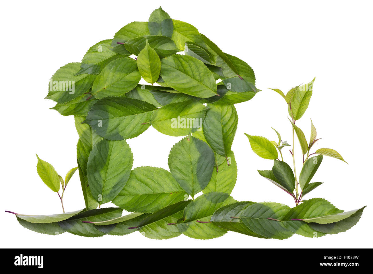 Schöne grüne Wohnkonzept Stockfoto