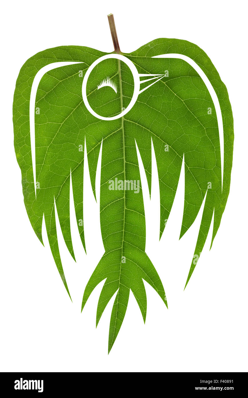 Tot grüner Vogel Stockfoto