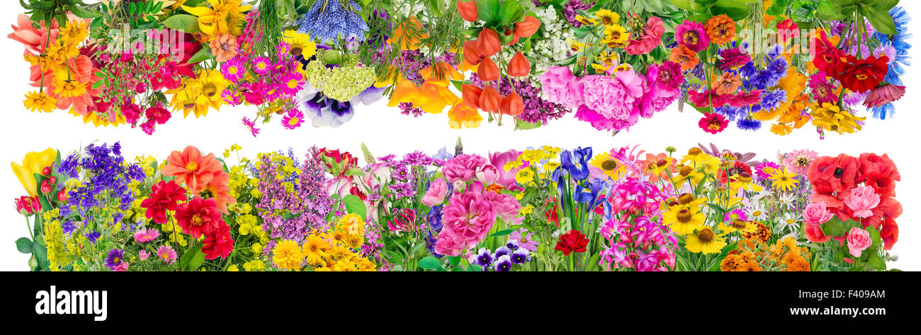 Fantastische floralen Grenzen Stockfoto