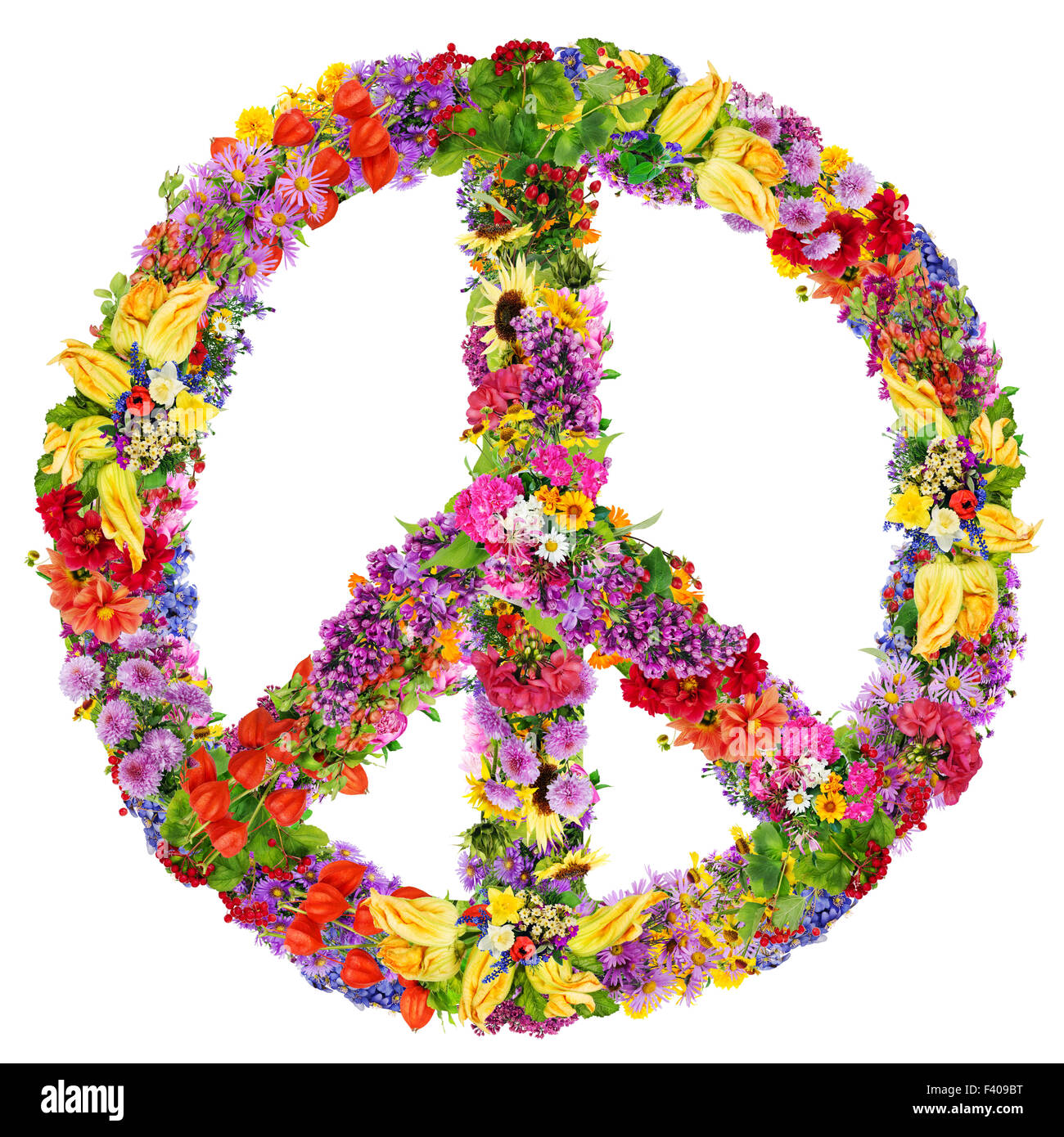 Friedenssymbol Blume Stockfoto