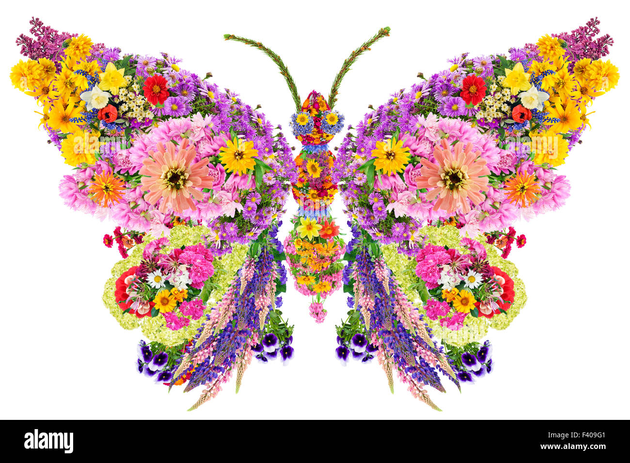 Schmetterling aus Sommerblumen Stockfoto