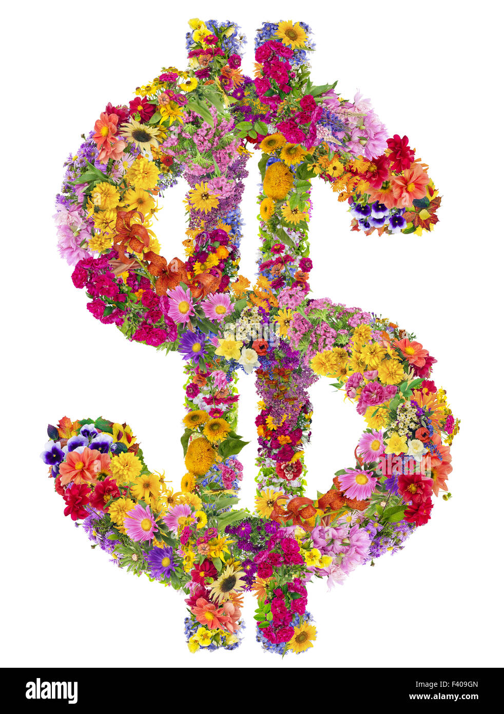 Dollarzeichen aus Sommerblumen Stockfoto