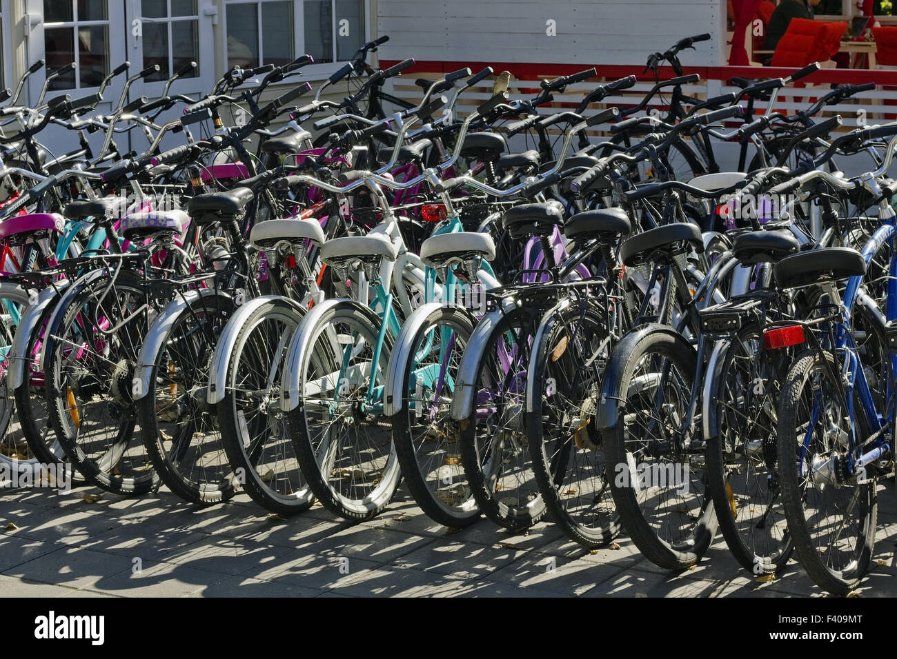 Vermietung von Fahrrädern im Stadtpark Stockfoto