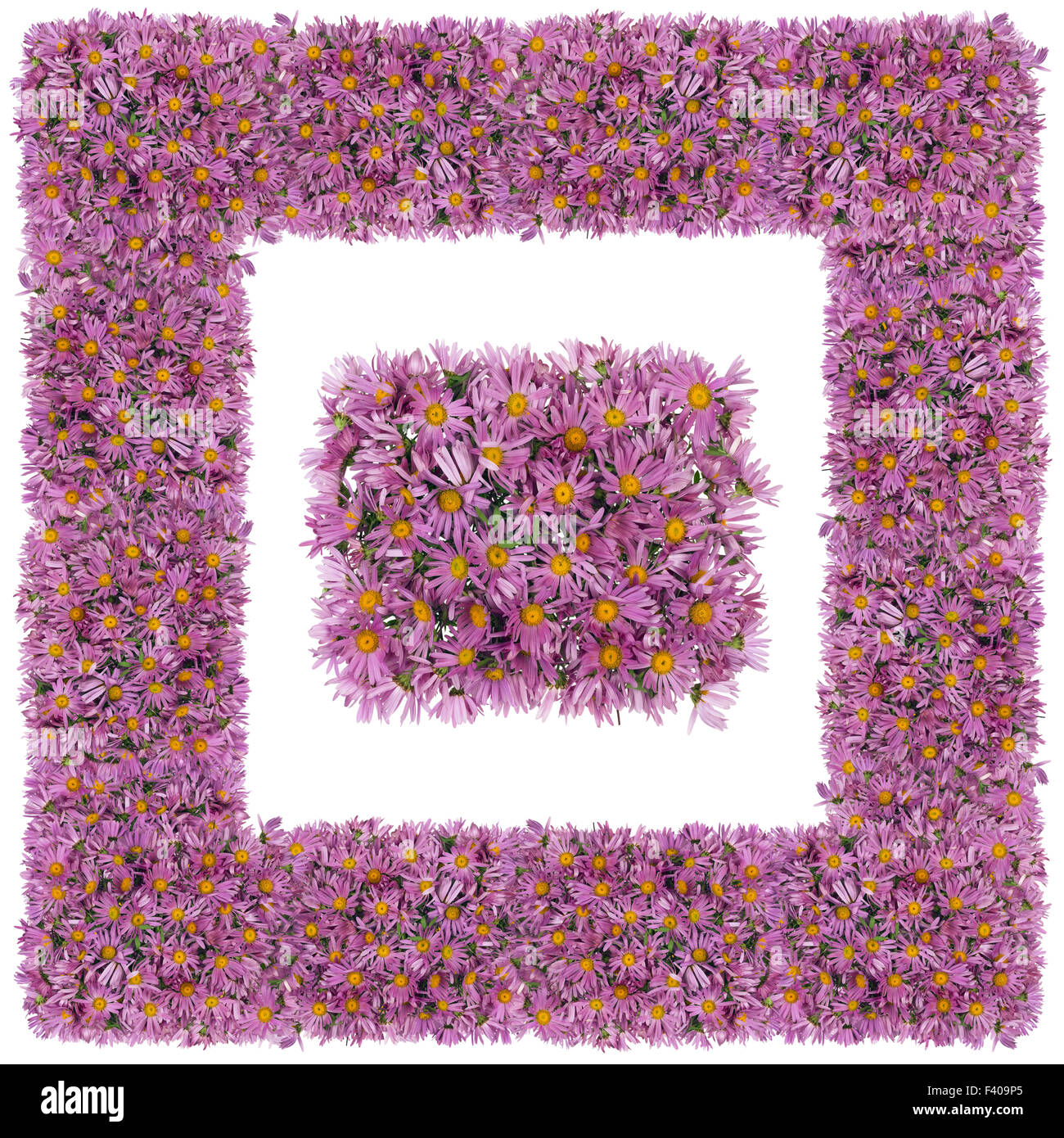 Quadrat rosa Blumenrahmen Stockfoto