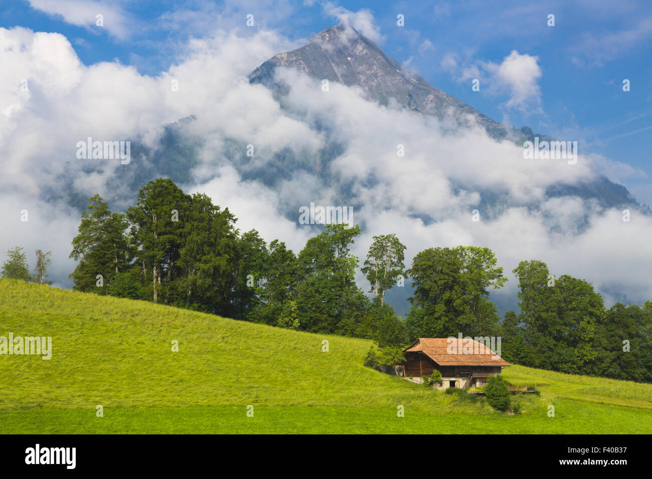 Sommerlandschaft mit Berg im Hintergrund Stockfoto