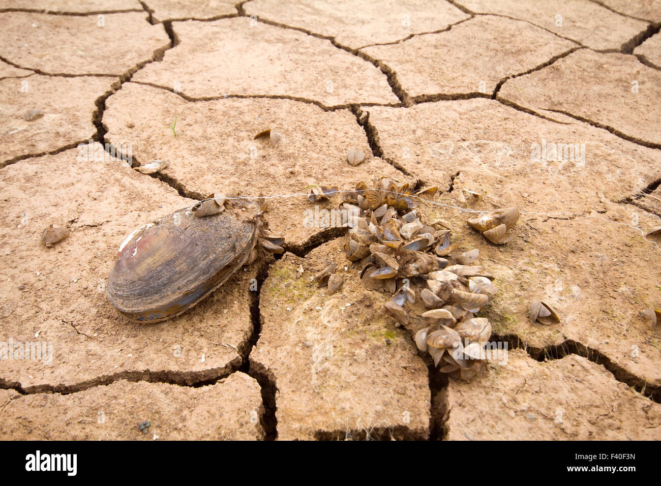 Meer Dürre ändern Klima Wärme Wasser Stockfoto