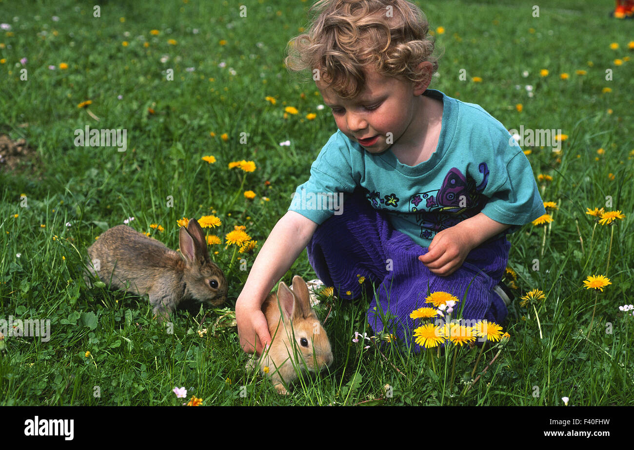 Kind, Jugendlicher, spielt mit Kaninchen Stockfoto