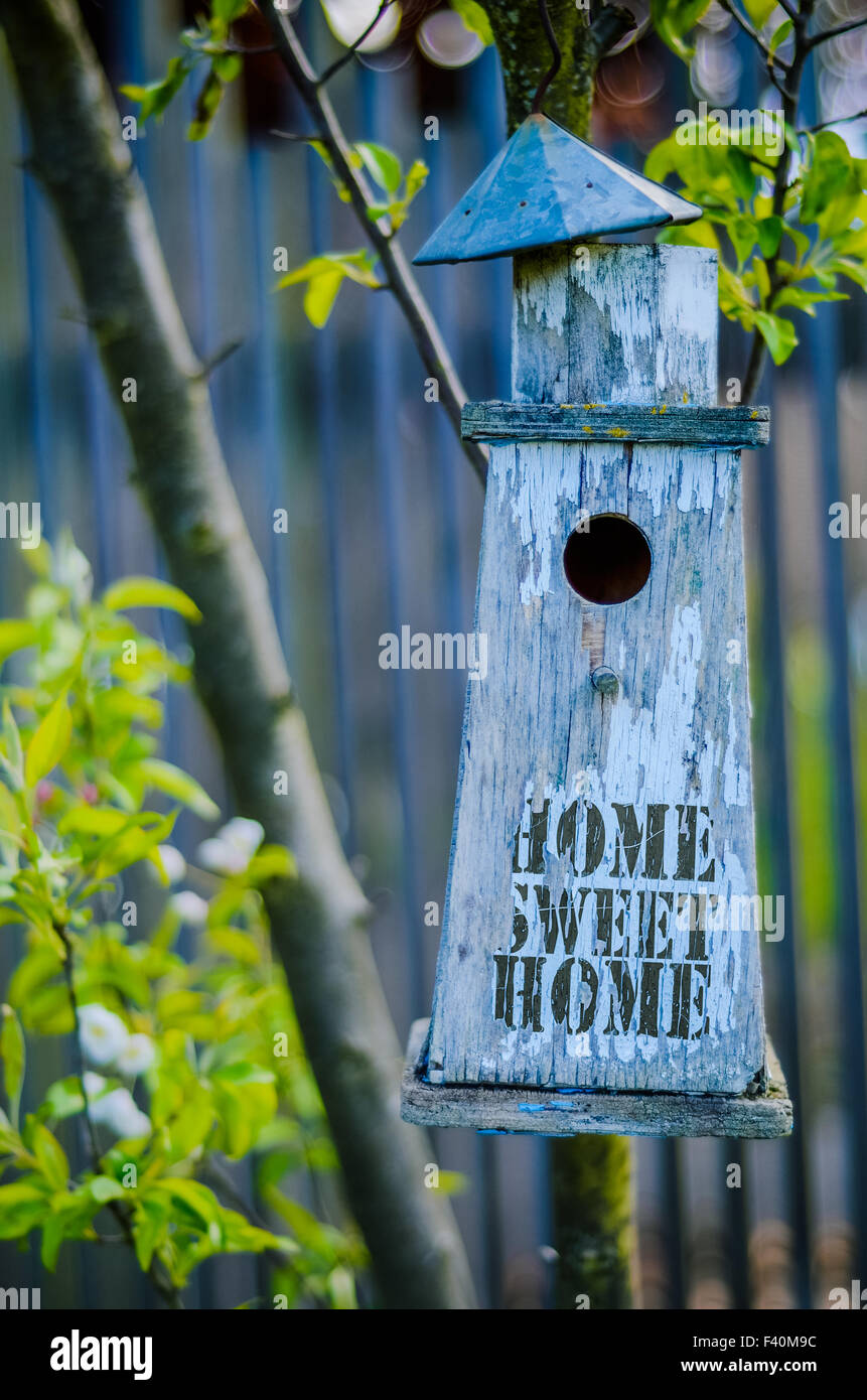 Home Sweet Home Vogelhaus Stockfoto