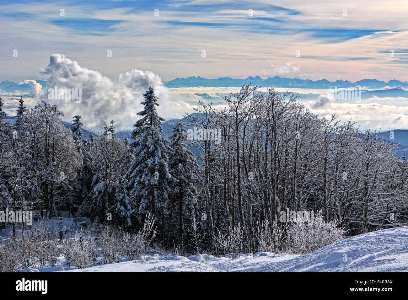 Blick vom Gipfel Stockfoto