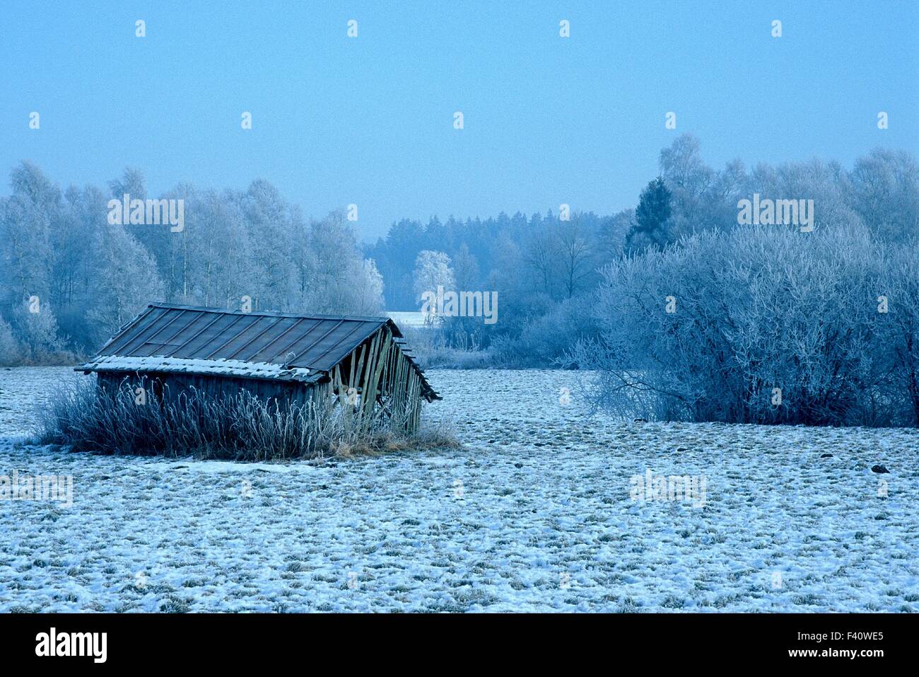 Winter Landschaft Pfrunger Ried Oberschwaben Stockfoto