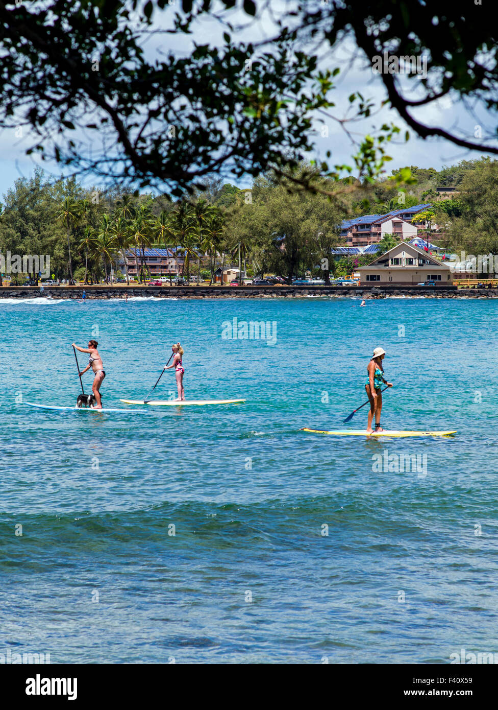 Touristen genießen standup Paddleboards, Kalapaki Bay, Kaua'i, Hawaii, USA Stockfoto