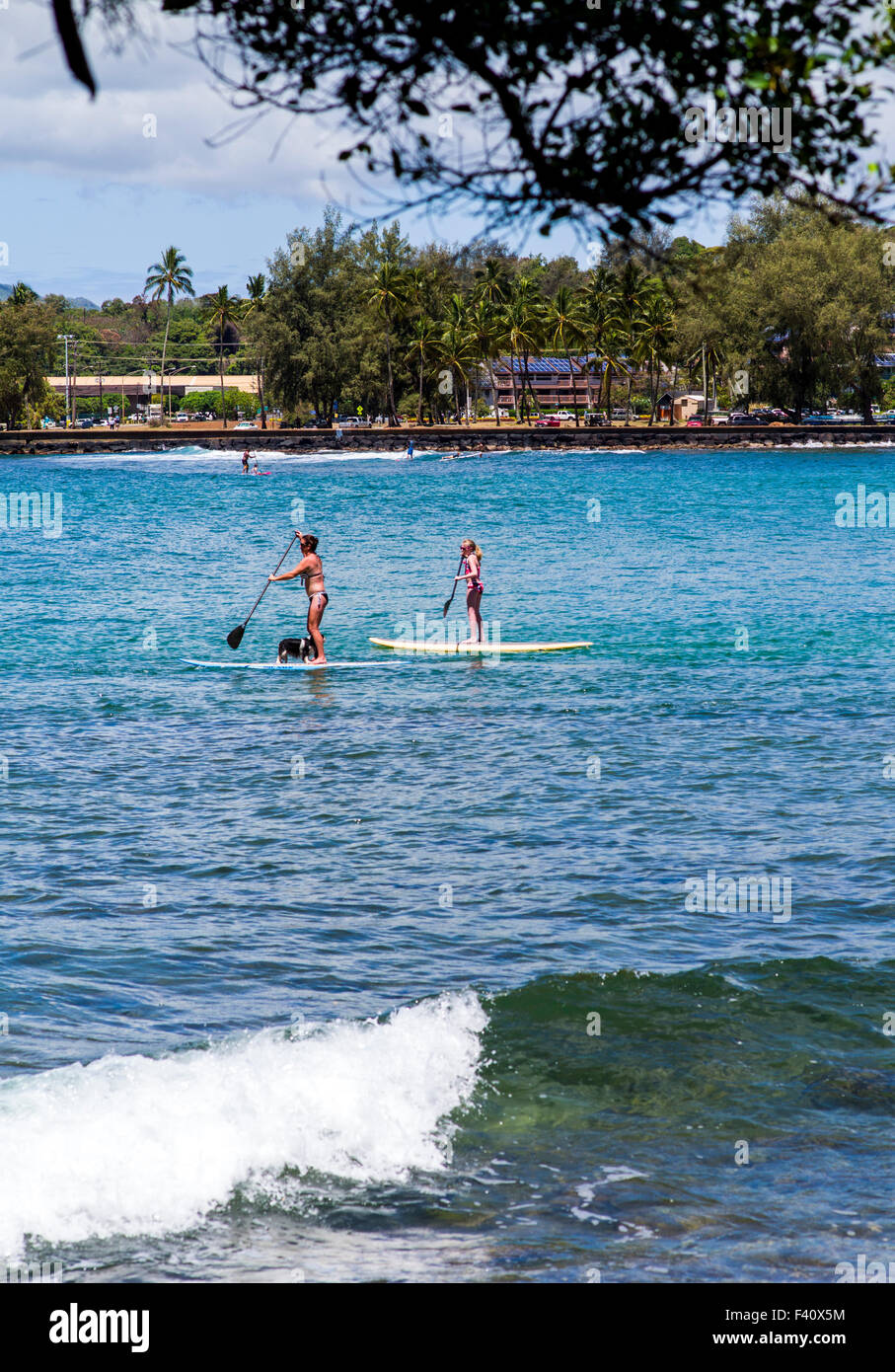 Touristen genießen standup Paddleboards, Kalapaki Bay, Kaua'i, Hawaii, USA Stockfoto