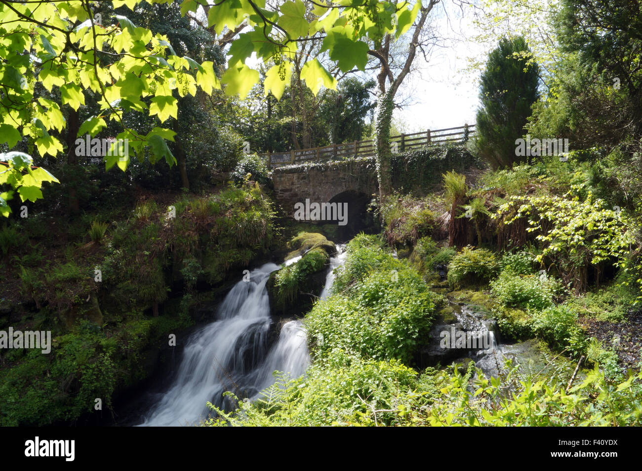 Fließenden Wasserfall bei Rouken Glen Park wie ein Märchen, Wasser unter der Brücke und nach unten fließende Steine mit Gras und Büschen auf beiden Seiten Stockfoto
