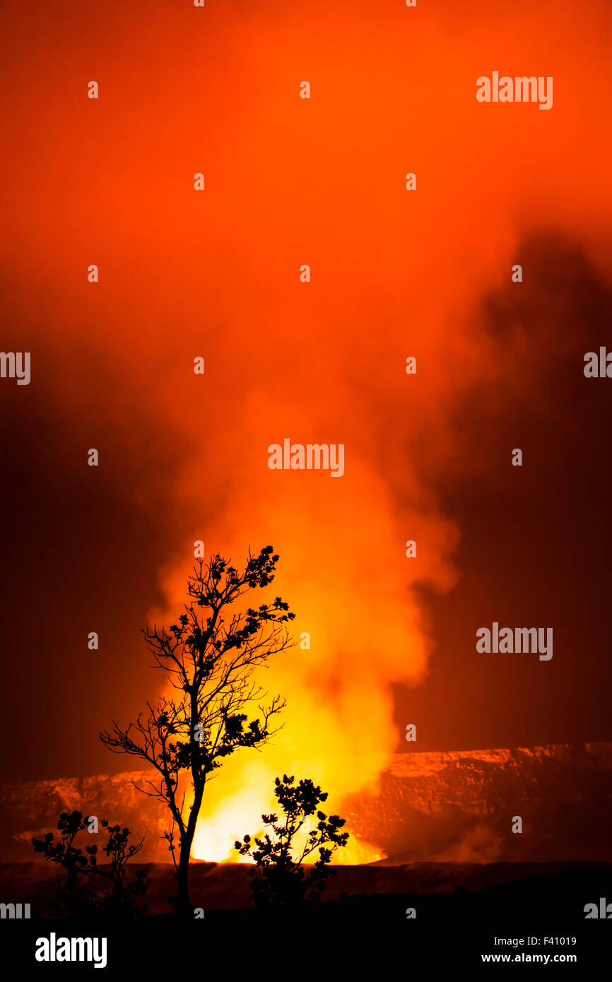 Baum in der Silhouette bei Dämmerung, glühende Lava, Kilaueea Caldera Vulkan, Hawai ' i Volcanoes National Park, Big Island, Hawaii, USA Stockfoto