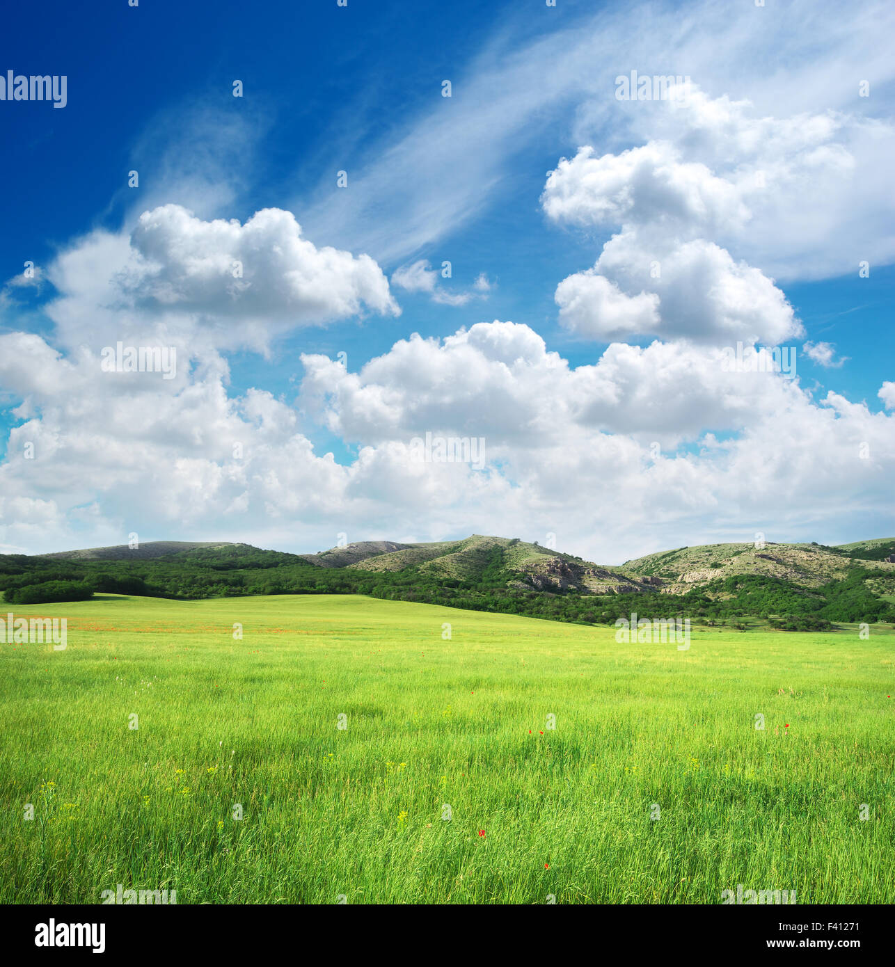 Grünen Wiese im Berg. Zusammensetzung der Natur. Stockfoto