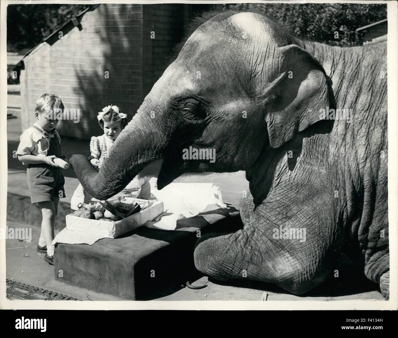 1949 - Geschenk für '' Dumbo'' - '' Dumbo'' der Zoo-Elefant, der hier von  BOAC 1949 geflogen war, nur von einer fünfwöchigen Krankheit erholt hat-  und er besuchte heute die beiden Kinder