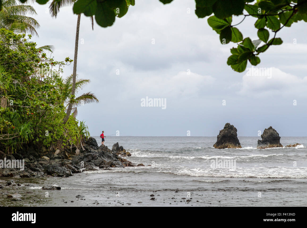 Fischer, Esel Trail Onomea Bach mündet in Pazifik, Onomea Bay, Big Island von Hawaii, Hawaii, USA Stockfoto