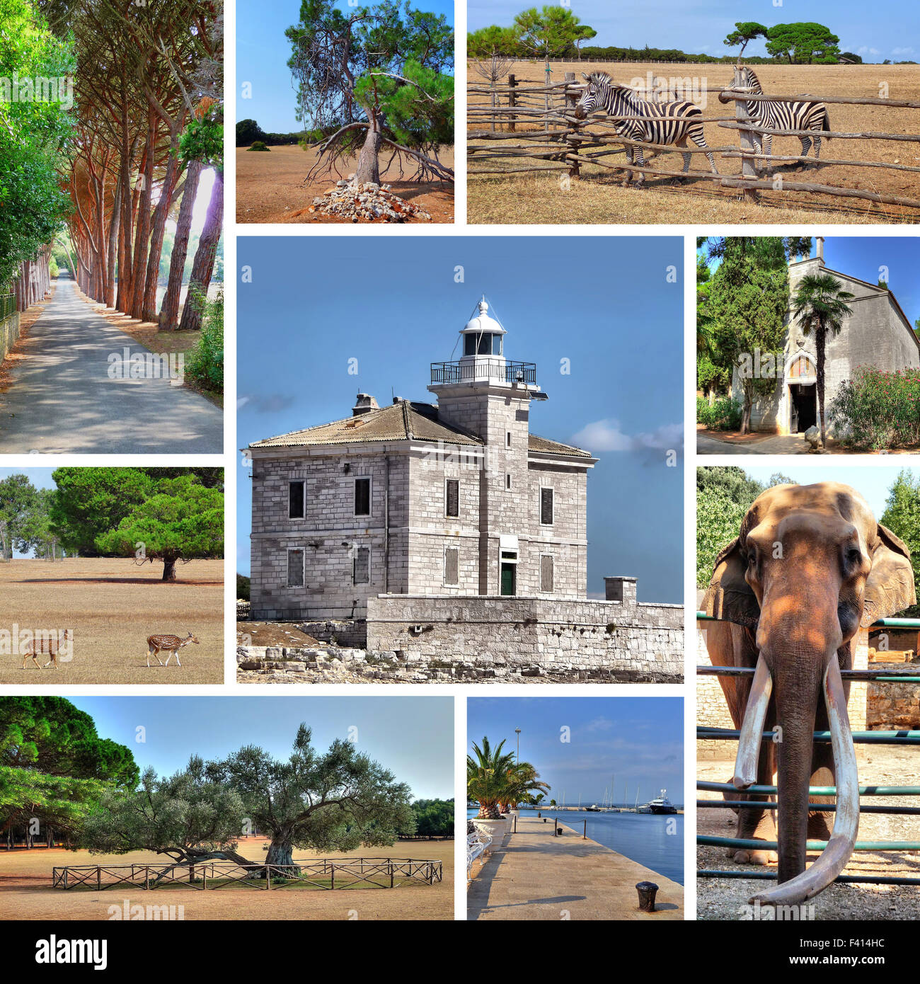 Brijuni Nationalpark Natur Ansicht collage Stockfoto