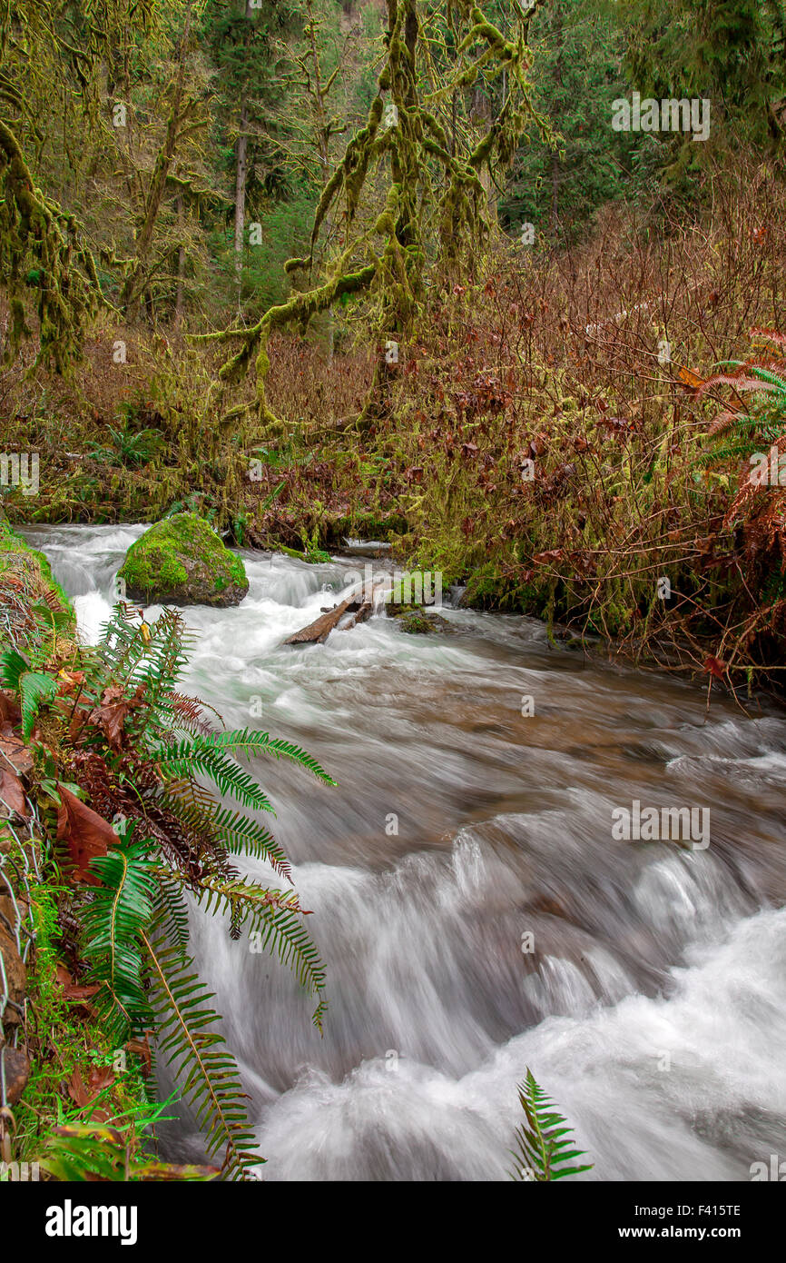 Wasserfall in Oregon Stockfoto