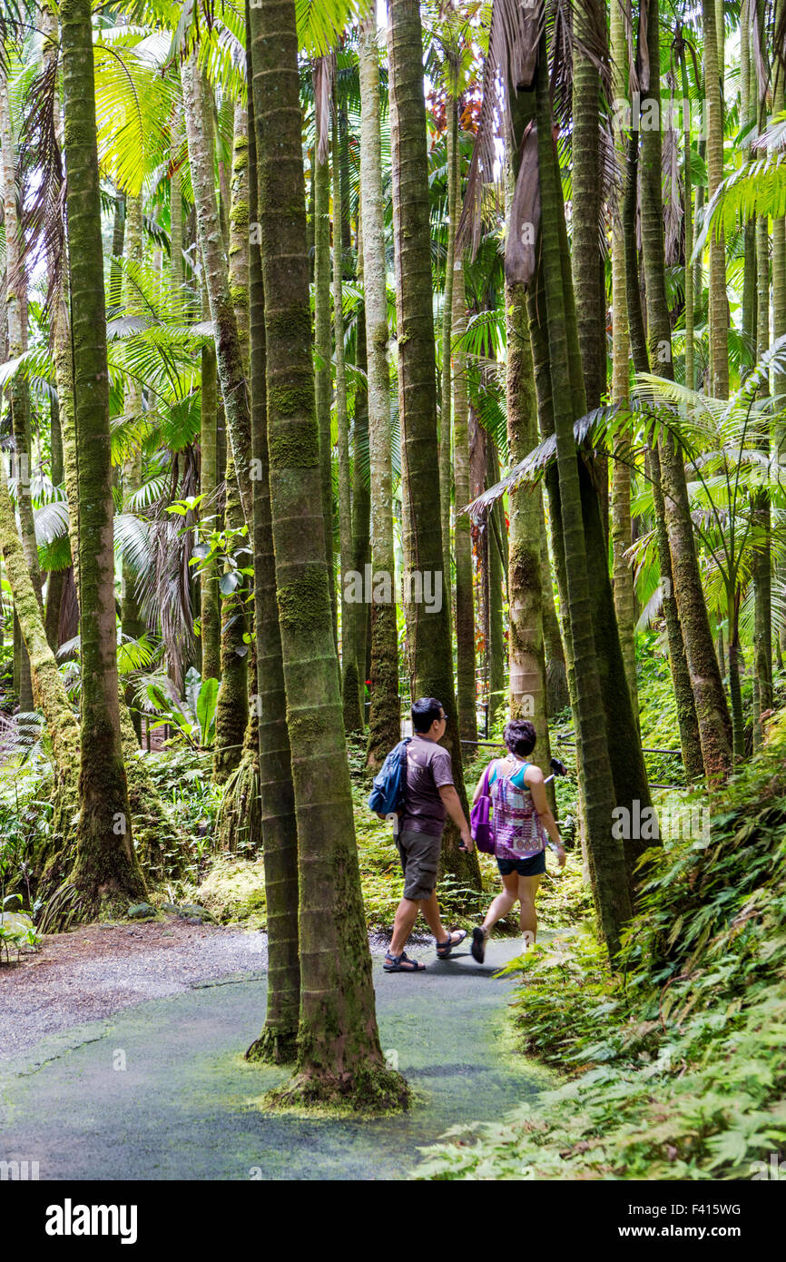 Touristen besuchen die Hawai ' i tropischen botanischen Garten Naturschutzgebiet; Big Island, Hawaii, USA Stockfoto