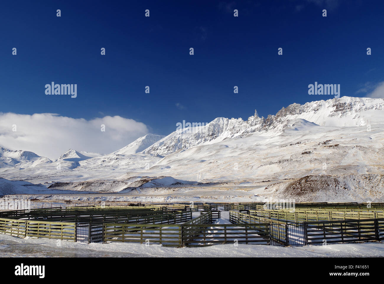 Schaf-Käfige in einem tiefen winter Stockfoto