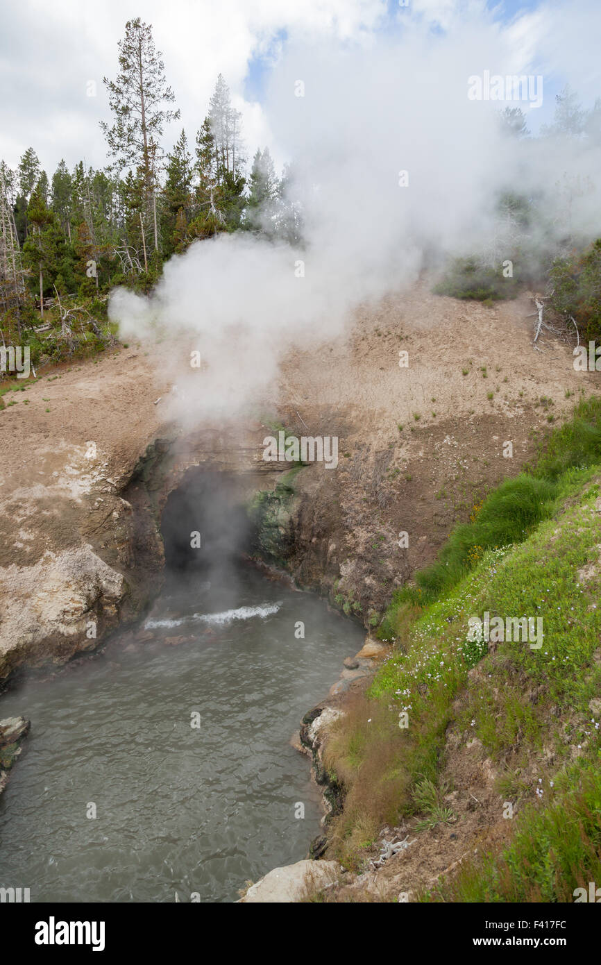 Heißer Dampf steigt aus einer thermischen Höhle in Hanglage mit warmem Mineralwasser fließt aus Dragon es Mouth Spring im Yellowstone Stockfoto