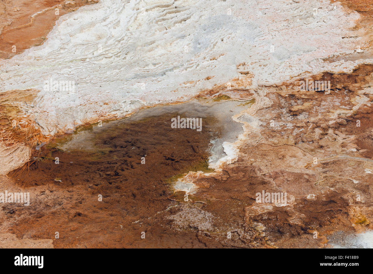 Alten trockenen weißen Bakterien und mineralische Ablagerungen über heißem Wasser gefüllt flachere Becken mit bunten lebender Bakterien als Hintergrund in Stockfoto