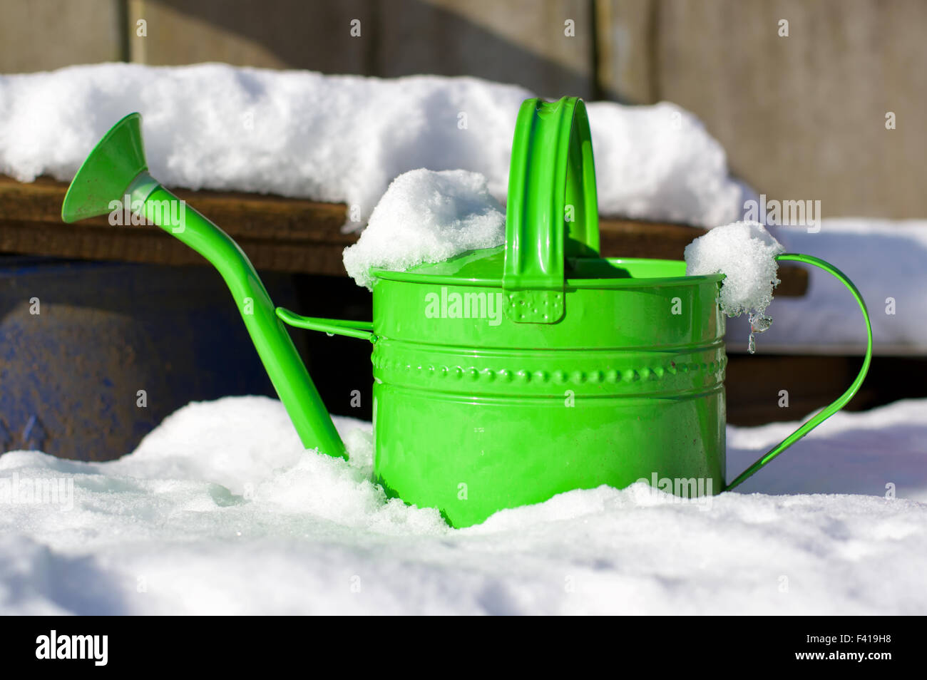 Schnee im Wintergarten Stockfoto