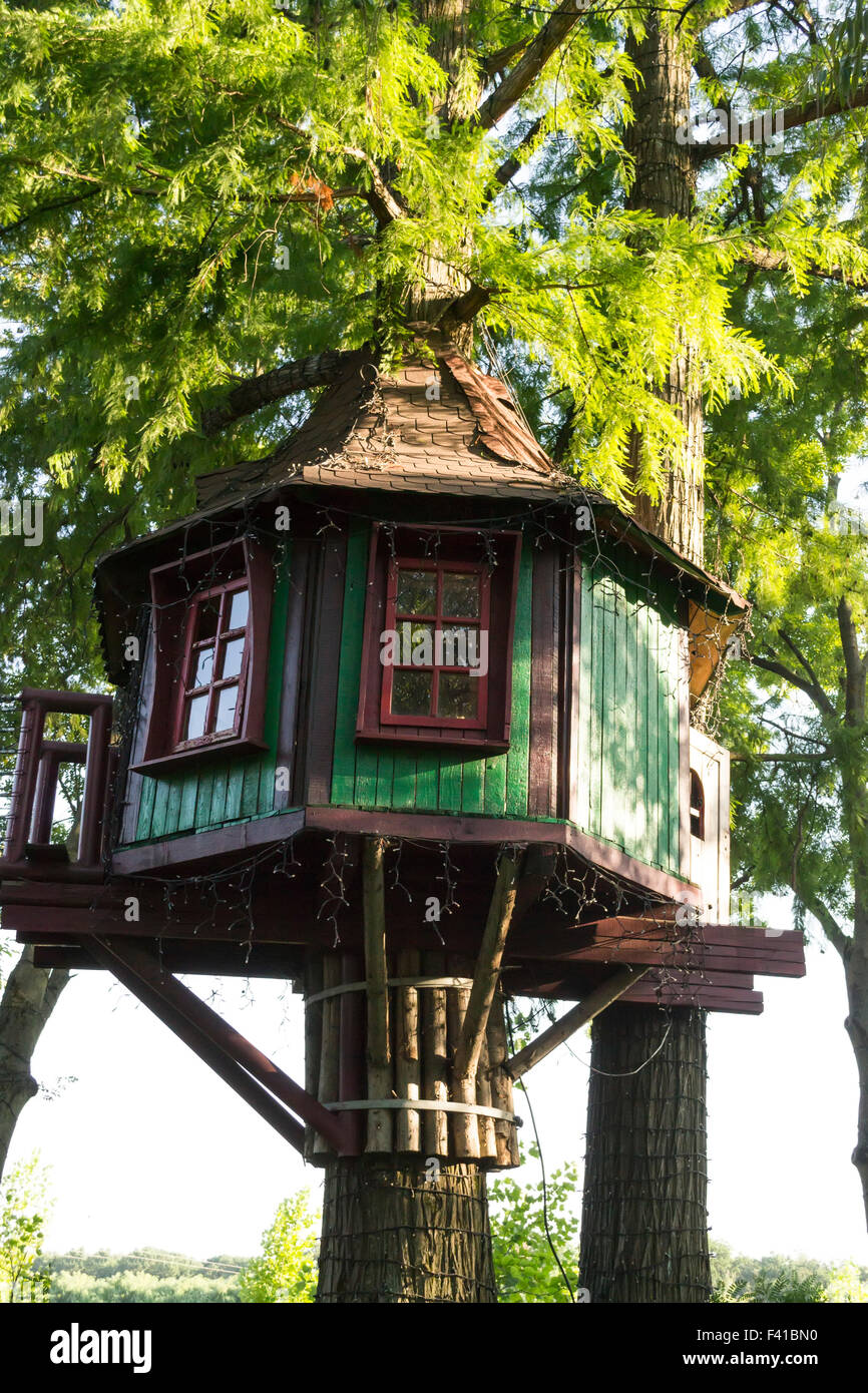 Märchenhafte Holzhaus gebaut und unterstützt durch einen starken Baum-Stamm Stockfoto