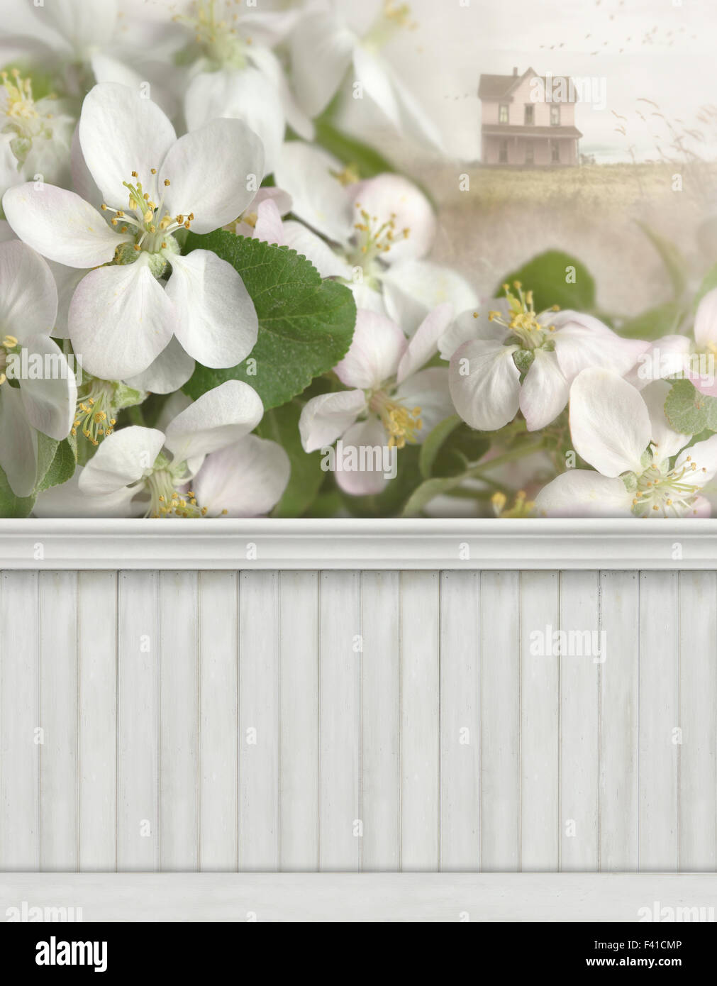 Frühling Wand Hintergrund/Hintergrund Stockfoto