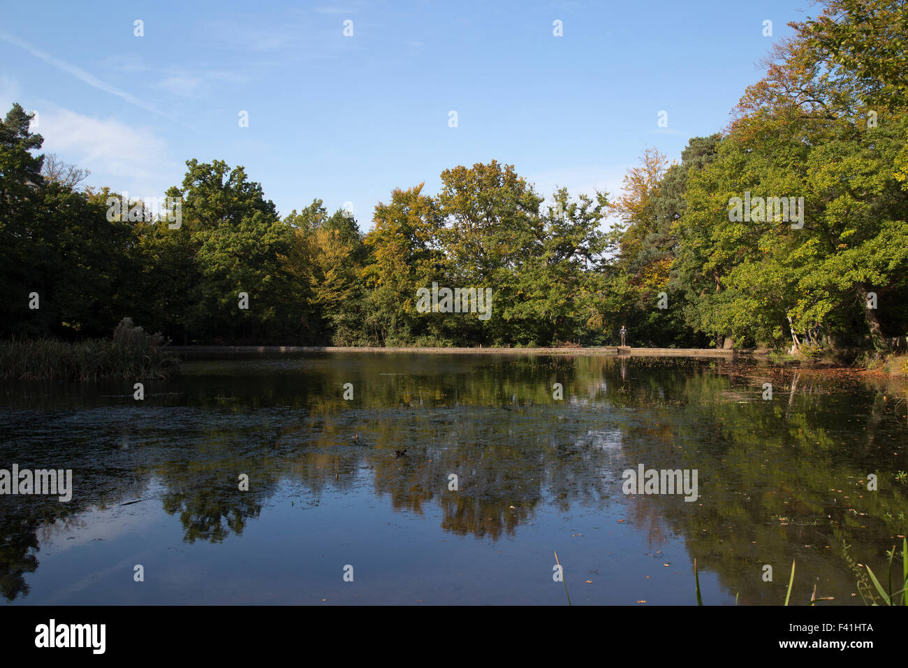 Teiche in surrey Fotos und Bildmaterial in hoher Auflösung Alamy