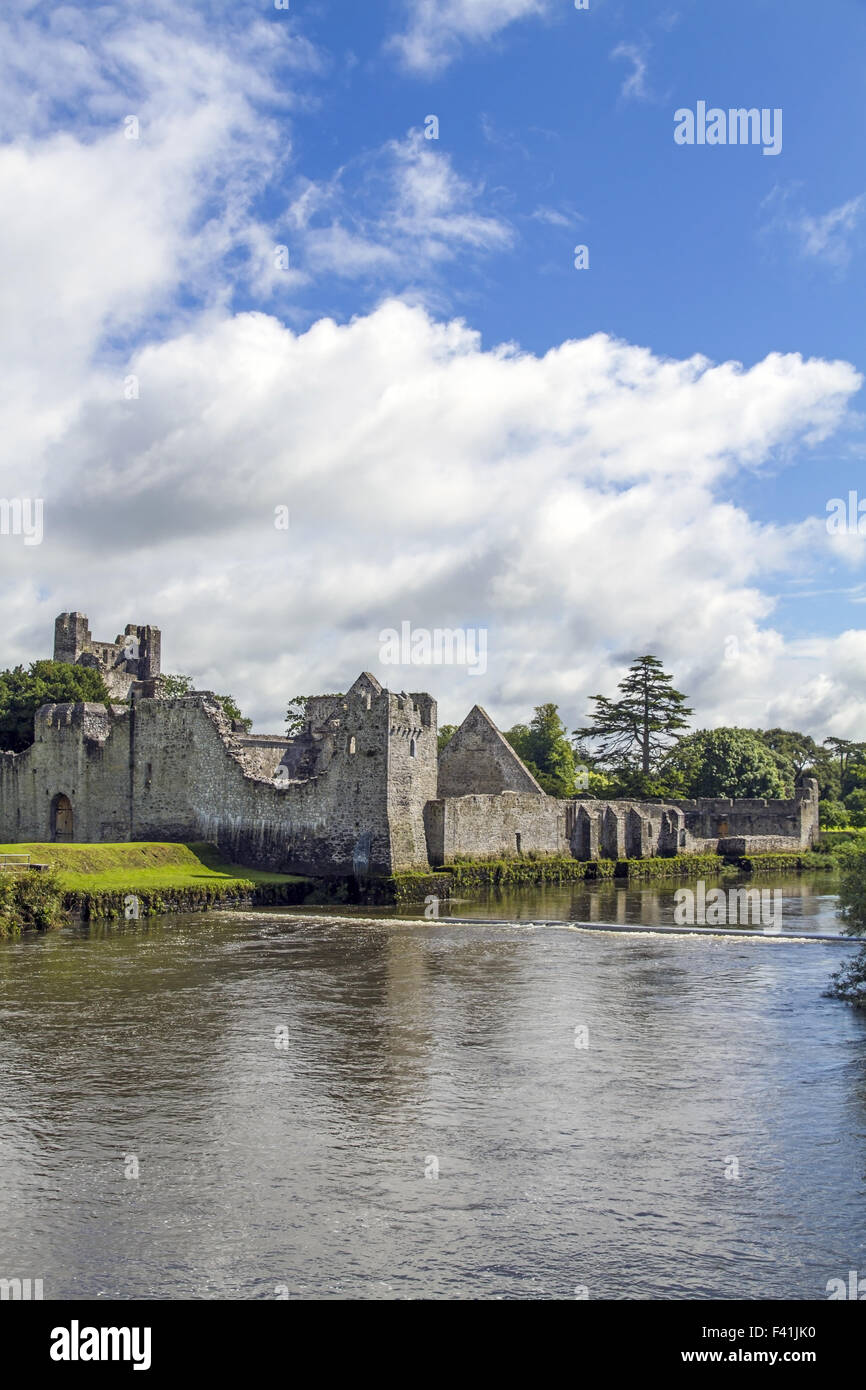 Desmond Castle, Adare, Limerick, Irland Stockfoto