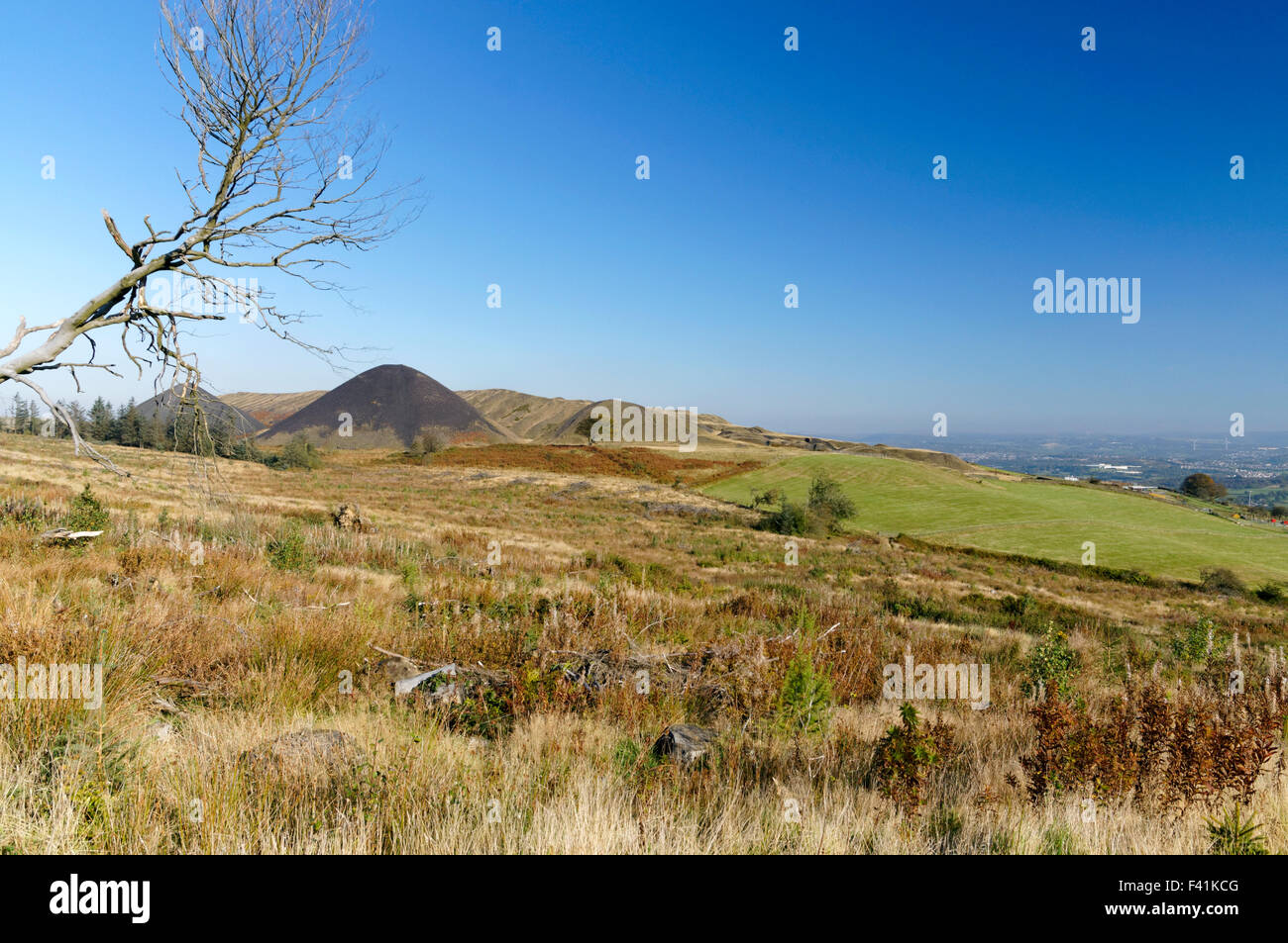 Zeche-Tipps aus der Llanbradach Zeche, Rhymney Valley in der Nähe von Caerphilly, South Wales, UK. Stockfoto