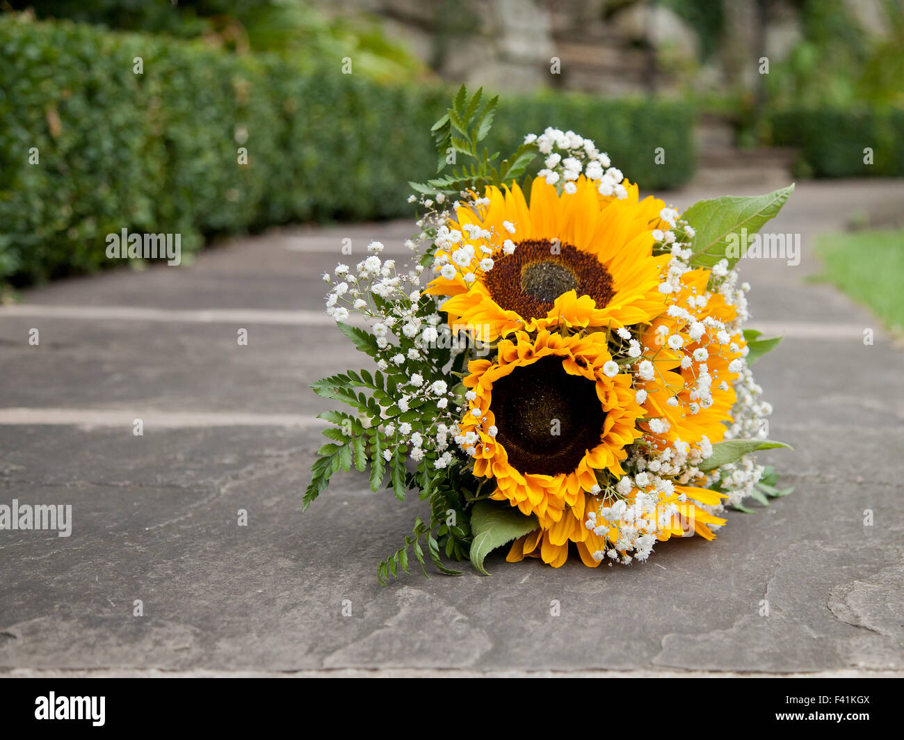 Sonne Blumenstrauß auf einen konkreten Weg Stockfoto