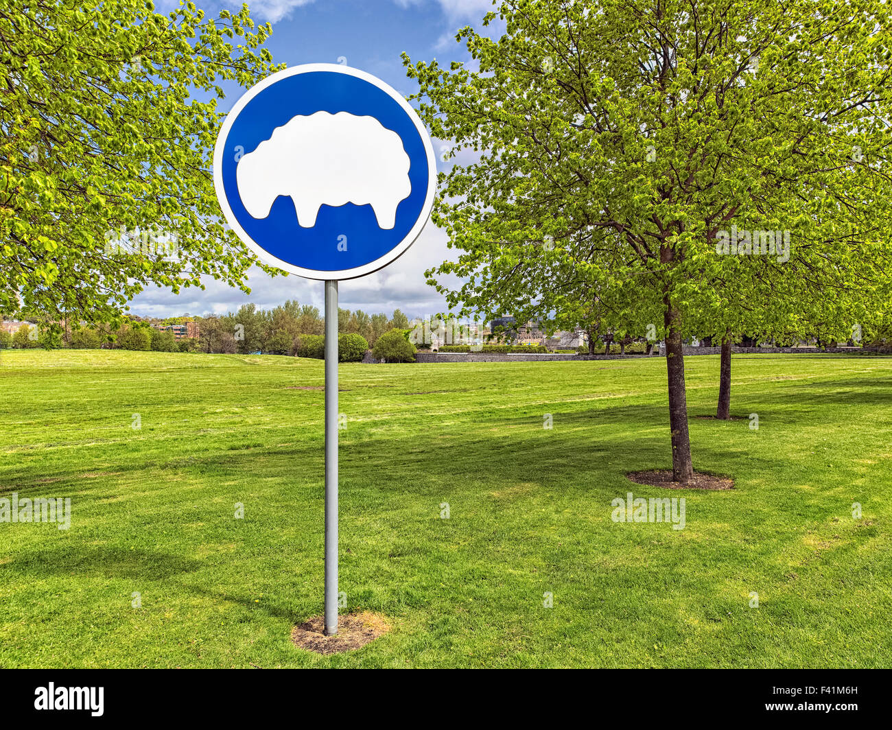 Grasende Schafe Zeichen auf frisch gemähten Wiese, Park, Dublin, Irland Stockfoto