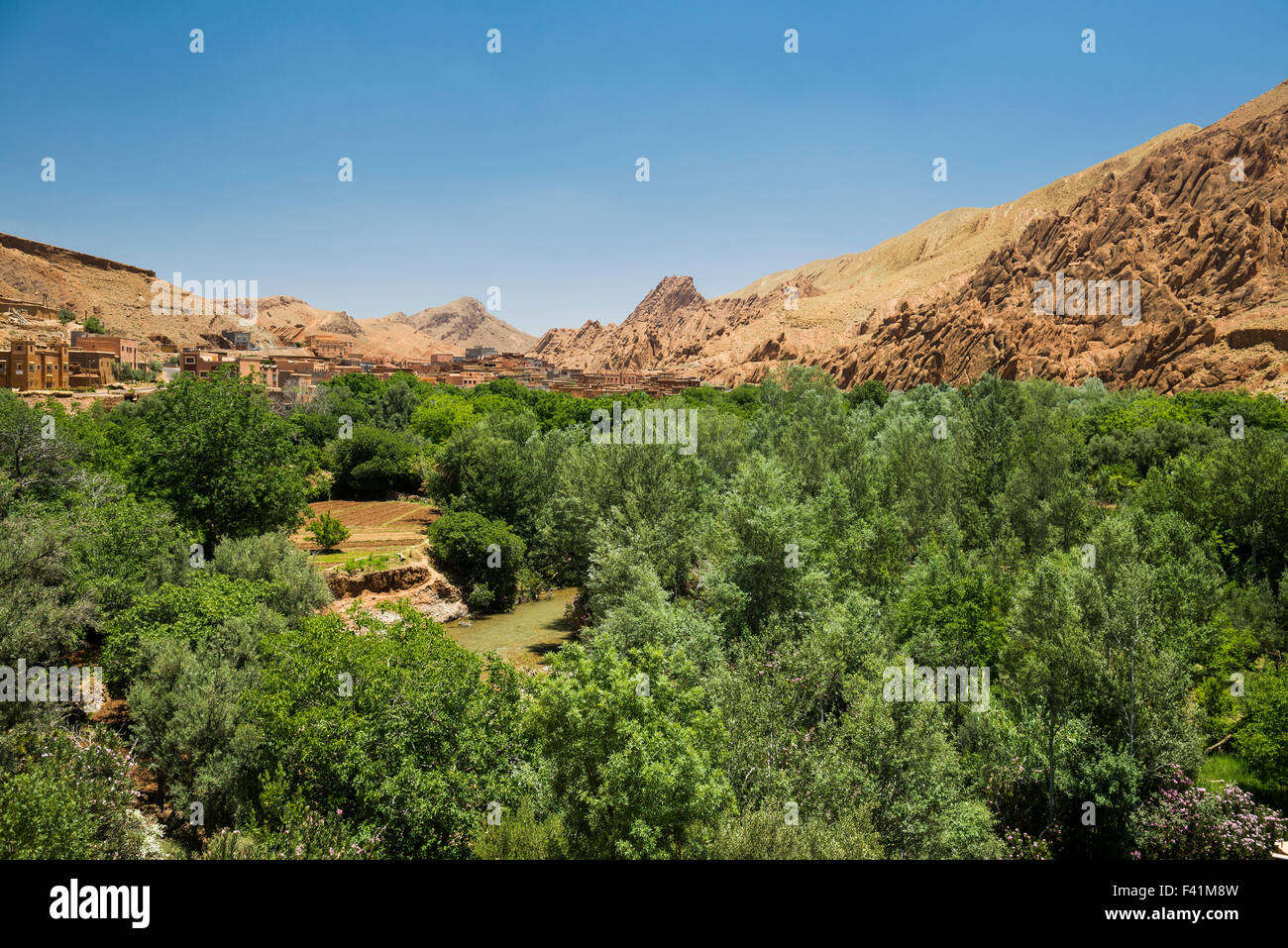 Oase im Dades Schlucht, Dades Tal, Oasenband-du-Dades hinter, Marokko Stockfoto